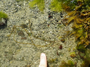  ( - GWS038532)  @11 [ ] Unspecified (default): All Rights Reserved  Unspecified Unspecified