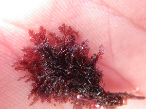  ( - GWS038612)  @11 [ ] Unspecified (default): All Rights Reserved  Unspecified Unspecified