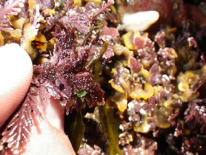  ( - GWS038624)  @11 [ ] Unspecified (default): All Rights Reserved  Unspecified Unspecified