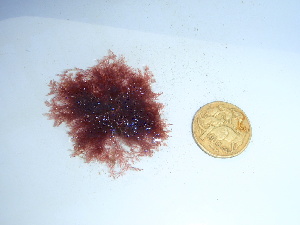  ( - GWS038942)  @11 [ ] Unspecified (default): All Rights Reserved  Unspecified Unspecified