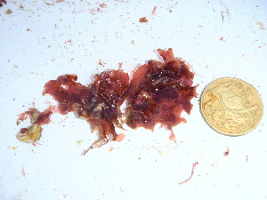  ( - GWS038986)  @11 [ ] Unspecified (default): All Rights Reserved  Unspecified Unspecified