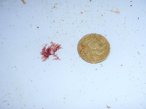  ( - GWS038996)  @11 [ ] Unspecified (default): All Rights Reserved  Unspecified Unspecified