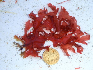  ( - GWS039020)  @11 [ ] Unspecified (default): All Rights Reserved  Unspecified Unspecified