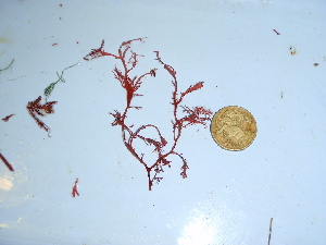  ( - GWS039263)  @11 [ ] Unspecified (default): All Rights Reserved  Unspecified Unspecified