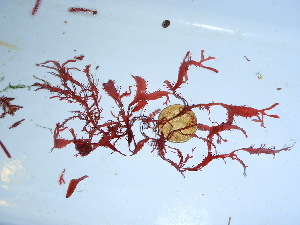  ( - GWS039264)  @11 [ ] Unspecified (default): All Rights Reserved  Unspecified Unspecified