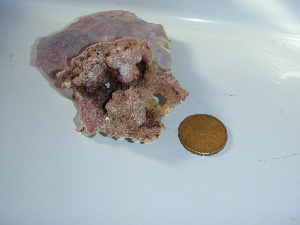  ( - GWS040354)  @11 [ ] Unspecified (default): All Rights Reserved  Unspecified Unspecified