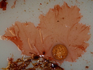  ( - GWS040625)  @11 [ ] Unspecified (default): All Rights Reserved  Unspecified Unspecified