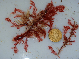  ( - GWS040648)  @11 [ ] Unspecified (default): All Rights Reserved  Unspecified Unspecified