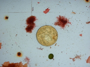  ( - GWS041776)  @11 [ ] Unspecified (default): All Rights Reserved  Unspecified Unspecified