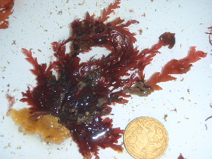 ( - GWS042380)  @11 [ ] Unspecified (default): All Rights Reserved  Unspecified Unspecified