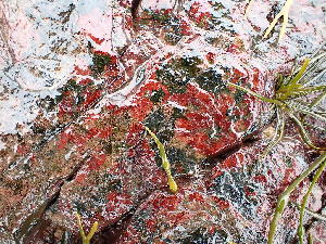  ( - GWS043016)  @11 [ ] Unspecified (default): All Rights Reserved  Unspecified Unspecified