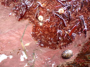  ( - GWS043033)  @11 [ ] Unspecified (default): All Rights Reserved  Unspecified Unspecified