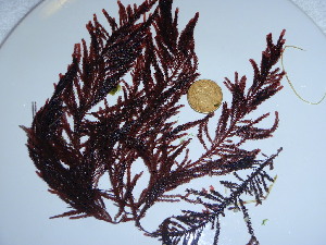  ( - GWS044089)  @11 [ ] Unspecified (default): All Rights Reserved  Unspecified Unspecified