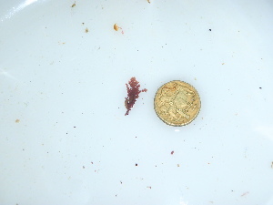  ( - GWS044135)  @11 [ ] Unspecified (default): All Rights Reserved  Unspecified Unspecified