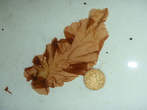  ( - GWS044179)  @11 [ ] Unspecified (default): All Rights Reserved  Unspecified Unspecified
