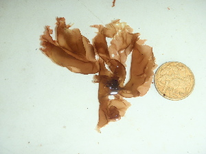  ( - GWS044192)  @11 [ ] Unspecified (default): All Rights Reserved  Unspecified Unspecified