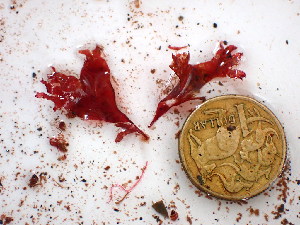  ( - GWS045095)  @11 [ ] Unspecified (default): All Rights Reserved  Unspecified Unspecified