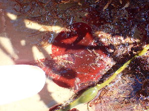  ( - GWS045229)  @11 [ ] Unspecified (default): All Rights Reserved  Unspecified Unspecified