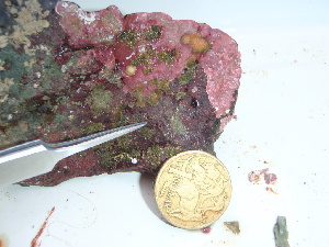  ( - GWS045600)  @11 [ ] Unspecified (default): All Rights Reserved  Unspecified Unspecified