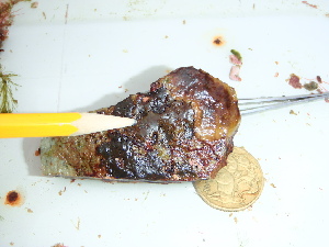  ( - GWS045620)  @11 [ ] Unspecified (default): All Rights Reserved  Unspecified Unspecified