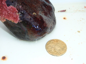  ( - GWS045646)  @11 [ ] Unspecified (default): All Rights Reserved  Unspecified Unspecified