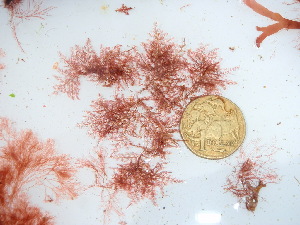  ( - GWS045687)  @11 [ ] Unspecified (default): All Rights Reserved  Unspecified Unspecified