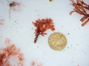  ( - GWS045688)  @11 [ ] Unspecified (default): All Rights Reserved  Unspecified Unspecified