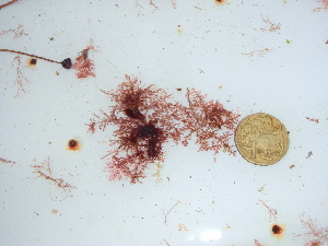  ( - GWS045695)  @11 [ ] Unspecified (default): All Rights Reserved  Unspecified Unspecified