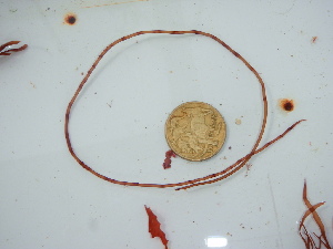  ( - GWS045725)  @11 [ ] Unspecified (default): All Rights Reserved  Unspecified Unspecified