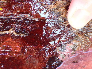  ( - GWS045851)  @11 [ ] Unspecified (default): All Rights Reserved  Unspecified Unspecified
