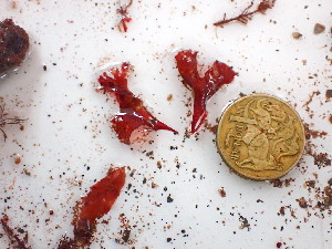  ( - GWS045876)  @11 [ ] Unspecified (default): All Rights Reserved  Unspecified Unspecified