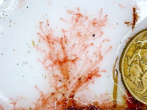 ( - GWS045977)  @11 [ ] Unspecified (default): All Rights Reserved  Unspecified Unspecified