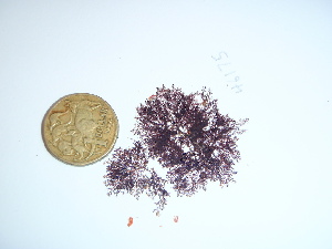  ( - GWS046175)  @11 [ ] Unspecified (default): All Rights Reserved  Unspecified Unspecified