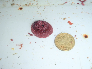  ( - GWS046263)  @11 [ ] Unspecified (default): All Rights Reserved  Unspecified Unspecified