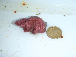  ( - GWS046278)  @11 [ ] Unspecified (default): All Rights Reserved  Unspecified Unspecified