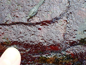  ( - GWS046510)  @11 [ ] Unspecified (default): All Rights Reserved  Unspecified Unspecified