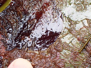  ( - GWS046573)  @11 [ ] Unspecified (default): All Rights Reserved  Unspecified Unspecified