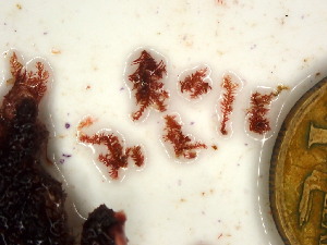  ( - GWS046893)  @11 [ ] Unspecified (default): All Rights Reserved  Unspecified Unspecified