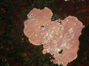  ( - GWS047175)  @11 [ ] Unspecified (default): All Rights Reserved  Unspecified Unspecified