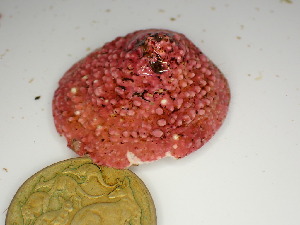  ( - GWS047647)  @11 [ ] Unspecified (default): All Rights Reserved  Unspecified Unspecified