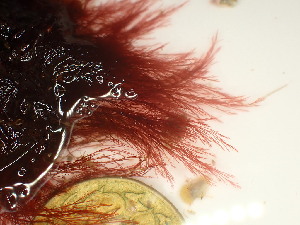  ( - GWS047686)  @11 [ ] Unspecified (default): All Rights Reserved  Unspecified Unspecified