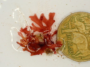 ( - GWS047702)  @11 [ ] Unspecified (default): All Rights Reserved  Unspecified Unspecified