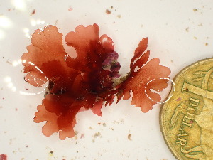  ( - GWS047713)  @11 [ ] Unspecified (default): All Rights Reserved  Unspecified Unspecified