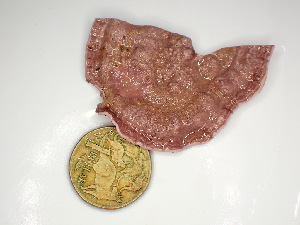  ( - GWS047753)  @11 [ ] Unspecified (default): All Rights Reserved  Unspecified Unspecified