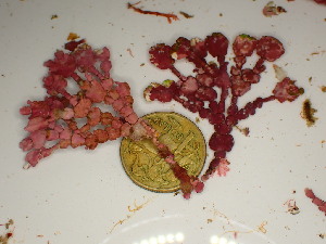  ( - GWS047764)  @11 [ ] Unspecified (default): All Rights Reserved  Unspecified Unspecified
