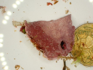  ( - GWS047771)  @11 [ ] Unspecified (default): All Rights Reserved  Unspecified Unspecified
