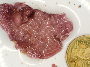  ( - GWS047794)  @11 [ ] Unspecified (default): All Rights Reserved  Unspecified Unspecified