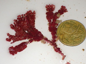  ( - GWS047796)  @11 [ ] Unspecified (default): All Rights Reserved  Unspecified Unspecified