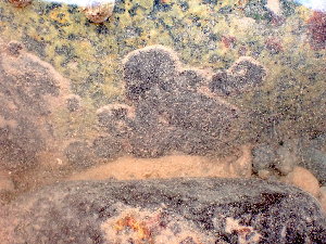  ( - GWS047811)  @11 [ ] Unspecified (default): All Rights Reserved  Unspecified Unspecified