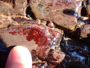  ( - GWS047835)  @11 [ ] Unspecified (default): All Rights Reserved  Unspecified Unspecified